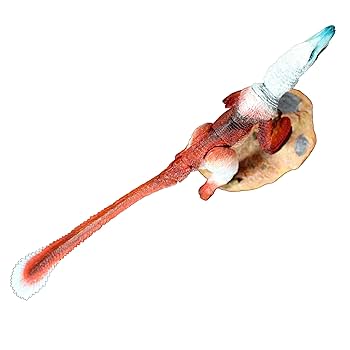 Amazon.co.jp: Everything Dinosaur Beasts of The Mesozoic